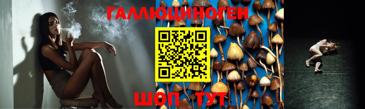 Егорьевск  наркотики  Вход с VPN  Галлюциногенные грибы ЛСД 